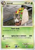 tacocat