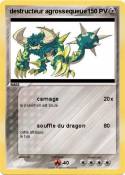 destructeur