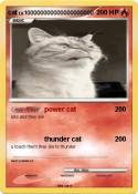 cat