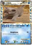 chaton