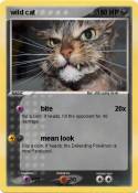 wild cat