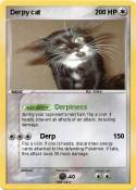 Derpy cat