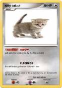 kitty cat