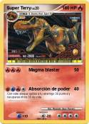 Super Terry