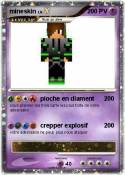 mineskin