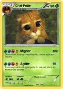 Chat Potté