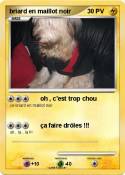 briard en