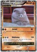 Grumpy Cat