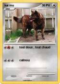 kai inu