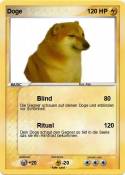 Doge