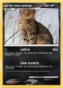 cat the best
