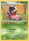 car pig