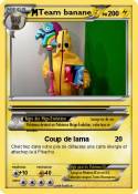 Team banane