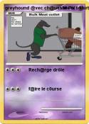 greyhound @vec