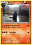 flame cat