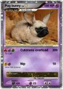 Pug bunny