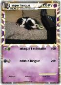 super langue