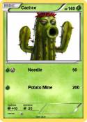 Cactice