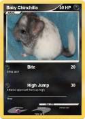 Baby Chinchilla
