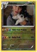 Pokedog