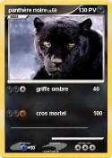 panthère noire