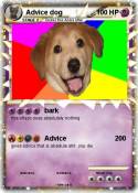 Advice dog