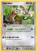ninja kitten