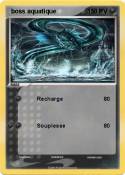  boss aquatique