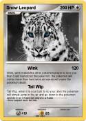 Snow Leopard