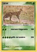 cerval