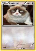 Grumpy cat