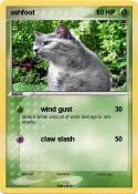 ashfoot