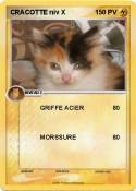 CRACOTTE niv X