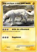 loup arctique