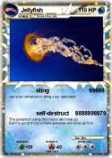 Jellyfish