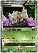 kitty brothers