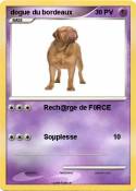 dogue du