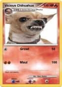 Vicious Chihuah