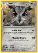 Owl