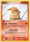 bunny
