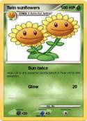 Twin sunflowers
