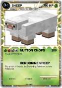 SHEEP