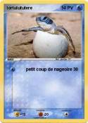 tortulututere