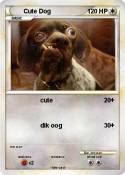 Cute Dog