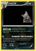Crazy Cat