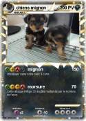 chiens mignon