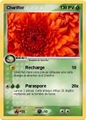 Chariflor