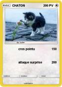 CHATON