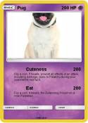 Pug