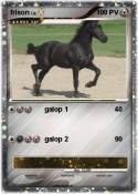 frison